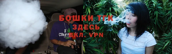 бошки Алексин