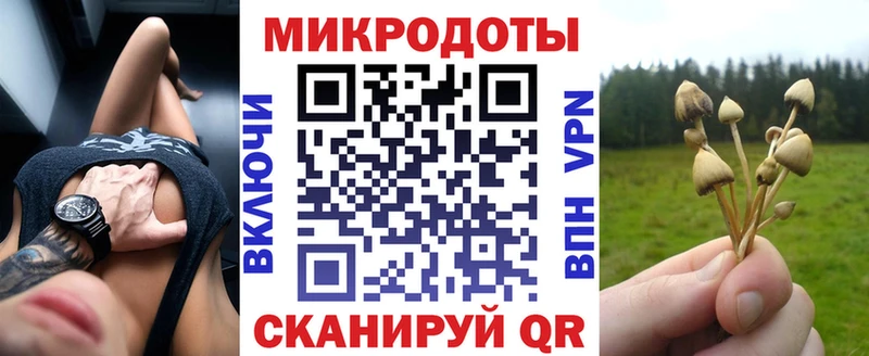 наркотики  Балаково  Псилоцибиновые грибы MAGIC MUSHROOMS 