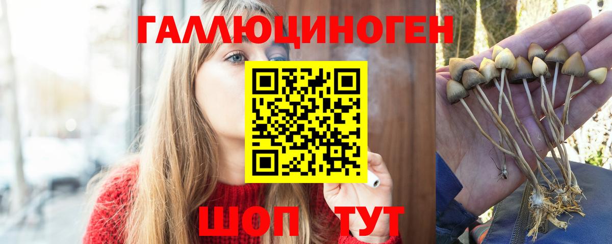 Псилоцибиновые грибы Psilocybine cubensis  закладки  Балаково  Вход с VPN  Галлюциногенные грибы MAGIC MUSHROOMS 