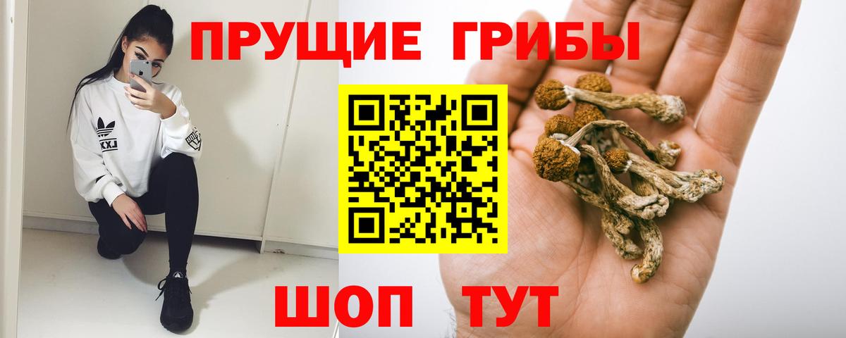 Балаково  Псилоцибиновые грибы Psilocybine cubensis  Псилоцибиновые грибы прущие грибы  Вход с VPN 